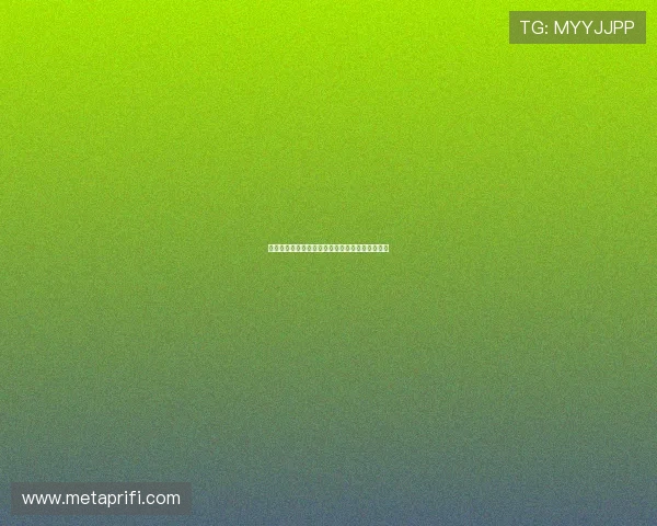 《海贼王与我：一场关于梦想与成长的永恒追寻》