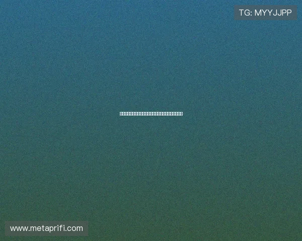 两个季节，两种人生：那些在我们生命中悄然流转的光影